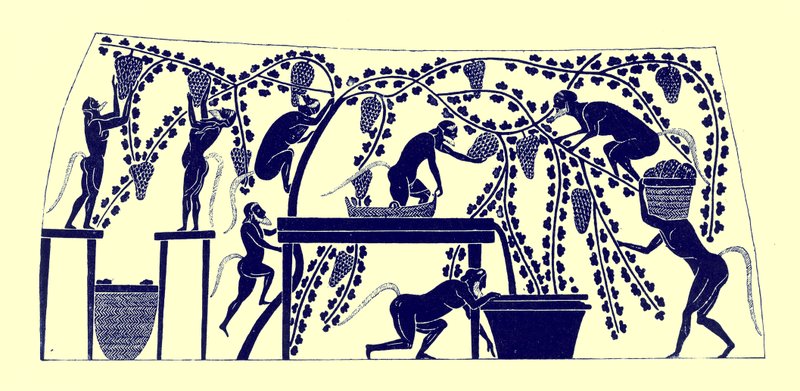 Satyrs Gathering the Vintage, illustration from Greek Vase Paintings by J. E. Harrison and D. S. MacColl, published 1894 by after English School
