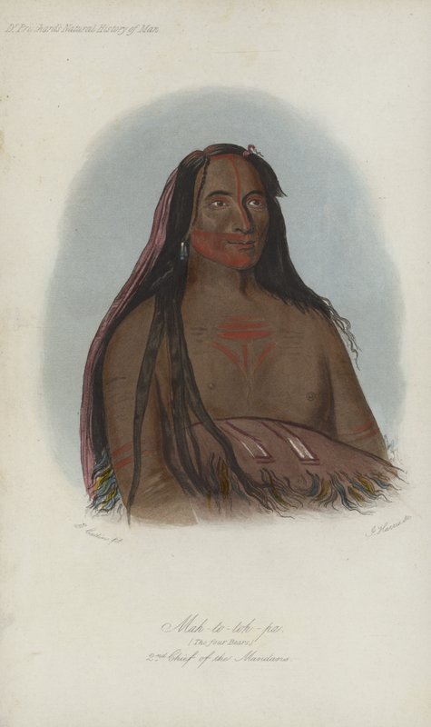 Mah-to-toh-pa, The Four Bears, 2nd Chief of the Mandans (aquatint) by after George Catlin