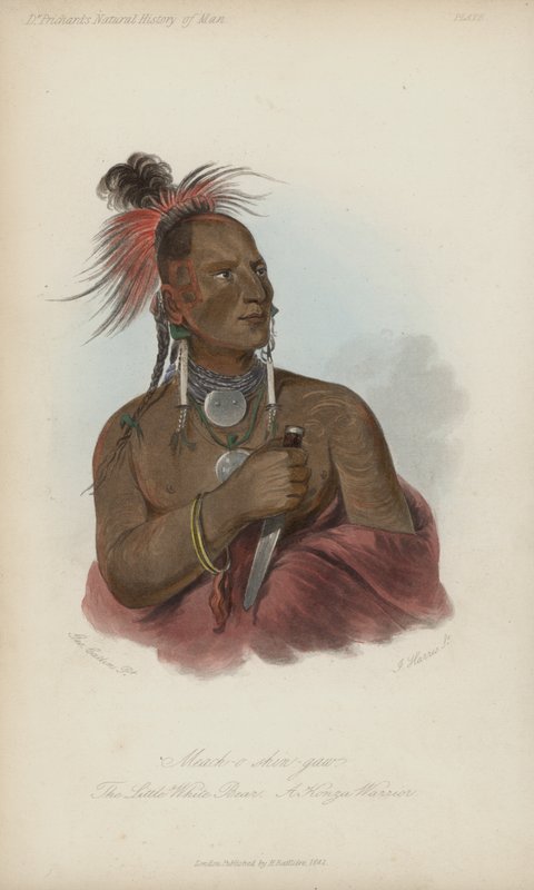 Meach-o shin-gaw, The Little White Bear, A Konza Warrior by after George Catlin