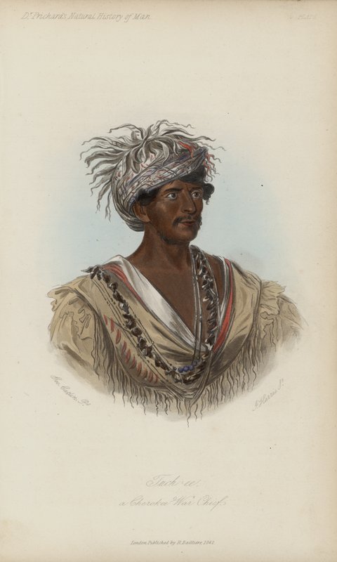Tuch-ee, a Cherokee War Chief by after George Catlin