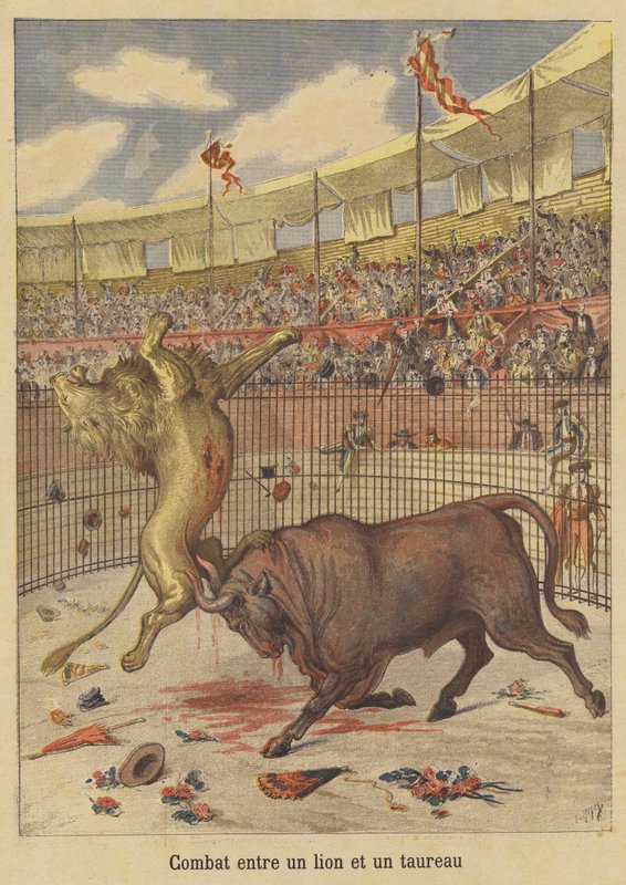 Combat Between a Lion and a Bull by after Henri Meyer