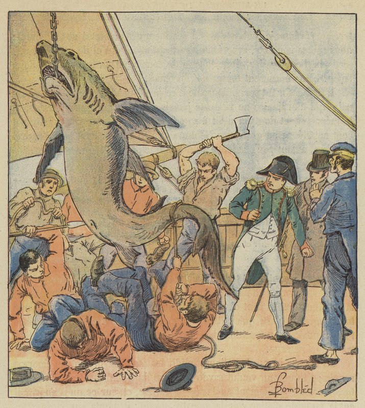 Capture of a shark by after Louis Charles Bombled