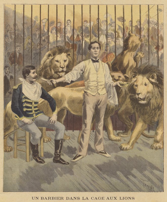 A Barber in the Lion