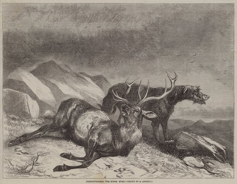 Deer-Stalking, the Dying Stag by after Richard Ansdell