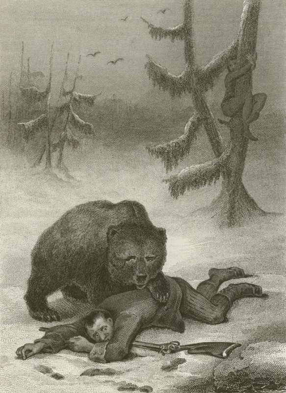 The Bear and the Two Companions by after Tony Johannot