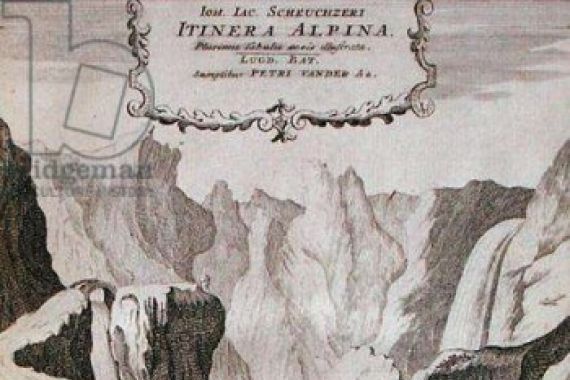 Anna Wasera after Tigurina