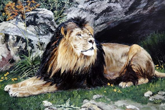 Geza Vastagh