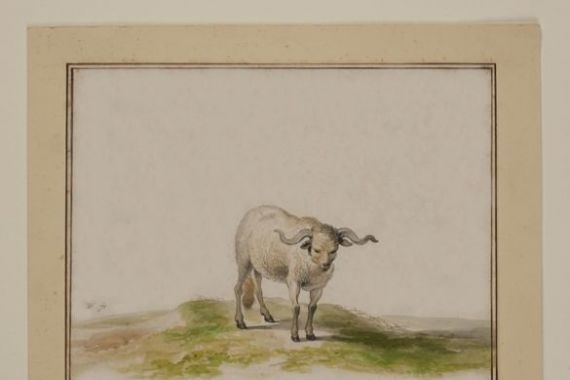 Pieter the Younger Holsteyn