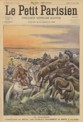 Migration of Livestock in the Camargue: A Herd of Bulls Swimming Across the River Rhone