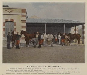 The Forge, Visit of the Veterinarian