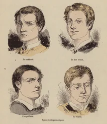 Physiognomic types