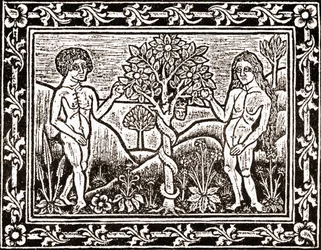 The Tree from which Adam ate the Apple, facsimile from a book of meditation, the first book printed at Albi, Languedoc, in 1481