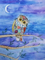 Little Owl