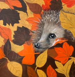 Charming Hedgehog