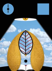 Der sichtbare Gedanke