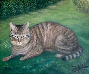 The Cat Julia
