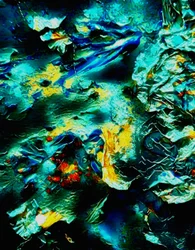 The Fairy Tale World