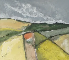 Yellow/Orange Fields