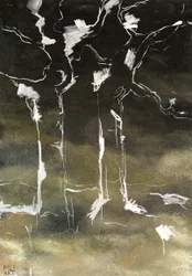 Birches in the Darkness