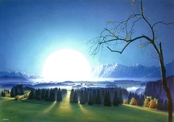 Forest Clearing