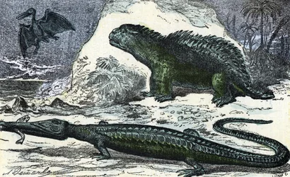 Prehistory: representation of a teleosaur (elongated muzzle) and a hyleosaur from the Jurassic period (Prehistory, Jurassic: Teleosaurus and Hylaeosaurus). Engraving from 