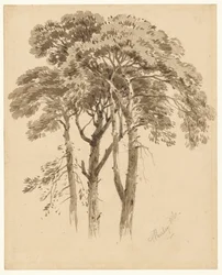 Study of Three Pines