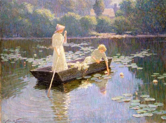Pond Lillies