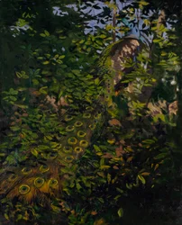 Peacock in the Woods, Study for the Book Concealing Coloration in the Animal Kingdom