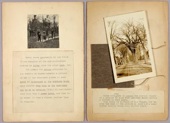 Slide this grey card..., study folder for book Concealing Coloration in the Animal Kingdom