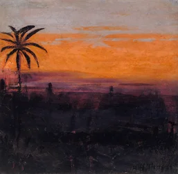 The Sky Simulated by Red Flamingoes, Study for Book Concealing Coloration in the Animal Kingdom