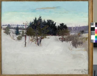 Winter Landscape