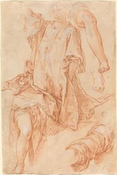 Studies of Legs and Drapery