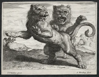 Various Lions