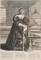 The Parrot, 1620-76