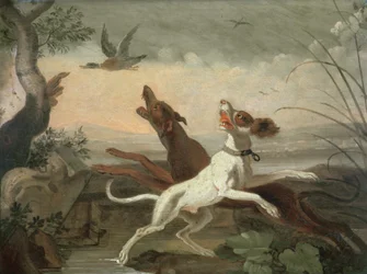 Unknown Image