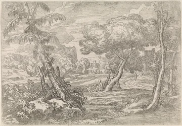 Wooded Landscape