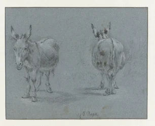Two Studies of a Donkey, Seen from the Front and Behind
