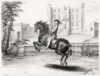 Illustration from a Riding Manual, engraved by Peeter Clouwet
