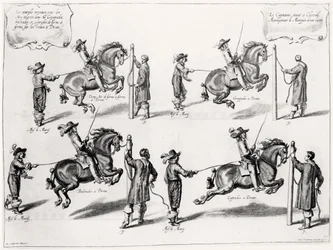 Illustration from a Riding Manual, engraved by Peeter Clouwet