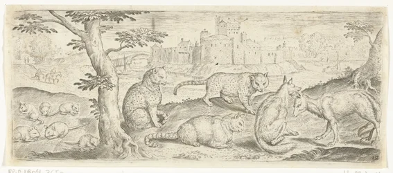 Rats, Cats, and Foxes