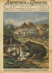 In Bokain (Bosnia), a Bear Attacked Two Women Who Had Gone to Fetch Water from the Spring