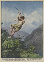 Dramas of Recklessness