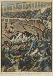 During a Bullfight in Zaragoza (Spain), an Enraged Bull from the Wounds of?