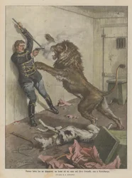 Fierce Fight Between a Tamer, a Lion, and a Dog in the Ciniselli Circus, Now in St. Petersburg