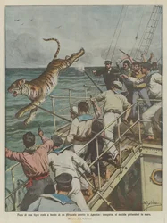 Escape of a royal tiger on board a steamer bound for America, pursued, it commits suicide by jumping into the sea