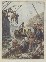 Divers Bring Up the Bodies from the Liban Steamer Wrecked Near Marseille