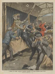 Dramas of the Menagerie, Reckless Spectator Mauled by an Enraged Tiger Near Zurich