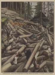 The dramas of labor, a huge pile of cut wood falls on several lumberjacks