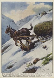 The Neurasthenic Mule