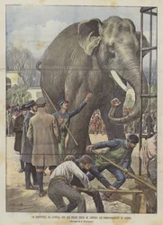 The Departure from London to the United States of Jingo, The Farewell Demonstrations